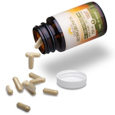 CBD Capsules