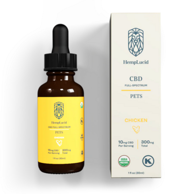 CBD for Pets