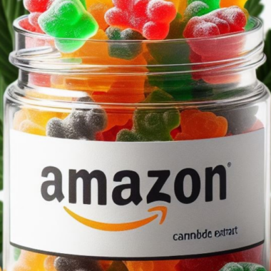 Best CBD Gummies (2026): Top Picks Compared for Strength, Quality & Value