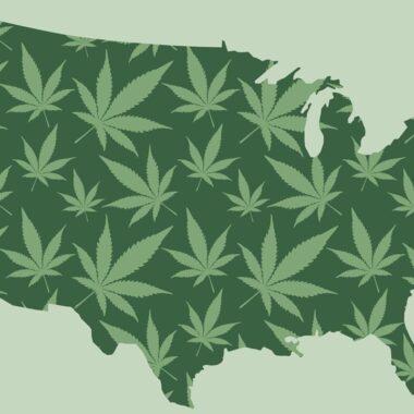 Navigating the Complex Landscape of U.S. CBD Laws by State: A Comprehensive Analysis of Legal Nuances and Emerging Trends as of February 2025