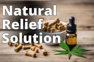 Image of a bottle of CBD oil and a bowl of dog treats with text overlay 'Natural Relief Solution.' A hemp leaf is placed beside the CBD oil bottle, suggesting the natural origin of the product.