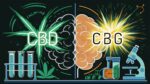A visually engaging illustration comparing CBD and CBG, two prominent cannabinoids. CBD is depicted as a green molecule, with a calming aura around it, symbolizing its relaxing effects. CBG, is represented by a golden molecule, emanating a bright, energetic light, highlighting its invigorating properties.