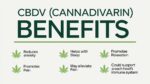 Infographic titled 'CBDV (Cannabidivarin) Benefits' with a green and white design. The graphic lists six potential benefits of CBDV, each paired with a cannabis leaf icon: 'Reduces Anxiety,' 'Promotes Pain' (likely a typo for 'Relieves Pain'), 'Helps with Sleep,' 'May Alleviate Pain,' 'Promotes Relaxation,' and 'Could Support a Healthy Immune System.