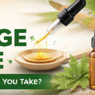 Bulk CBD Oil: Pricing, Benefits & Wholesale Buying Guide (2026)
