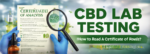 Certificate of Analysis document with magnifying glass and CBD oil bottle showing lab testing and quality verification