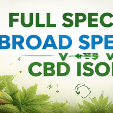 Bulk CBD Oil: Pricing, Benefits & Wholesale Buying Guide (2026)