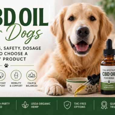 CBD Oil for Dogs: What Pet Owners Should Know